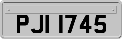 PJI1745