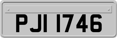 PJI1746