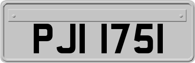 PJI1751