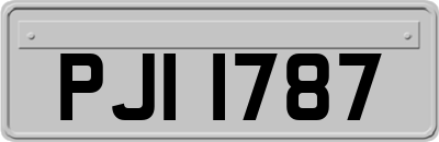 PJI1787