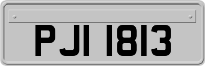 PJI1813