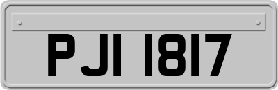 PJI1817