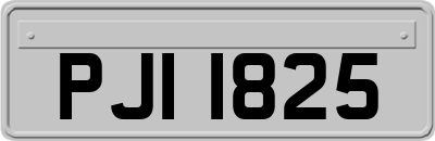 PJI1825