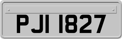 PJI1827