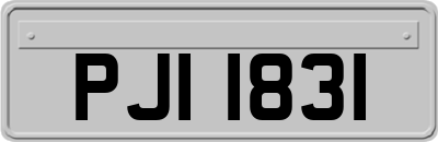 PJI1831