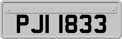 PJI1833