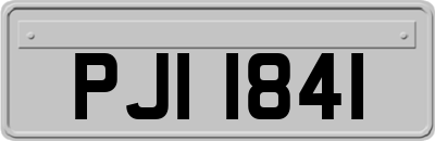 PJI1841