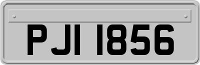 PJI1856