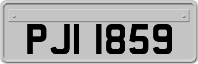 PJI1859