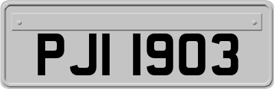 PJI1903