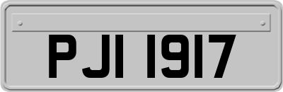 PJI1917