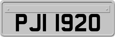 PJI1920
