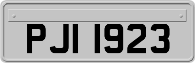 PJI1923