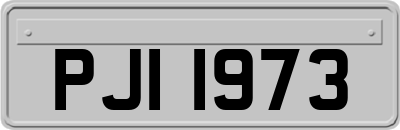 PJI1973