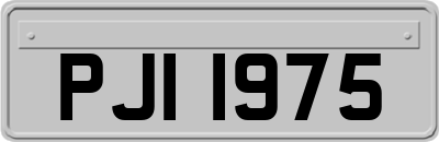 PJI1975