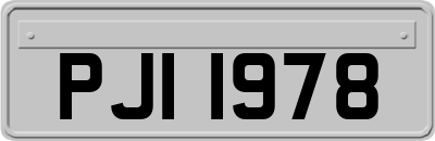 PJI1978