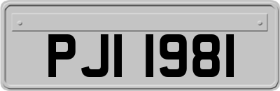 PJI1981