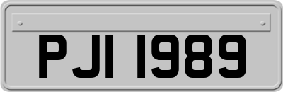 PJI1989