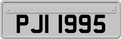 PJI1995