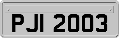 PJI2003