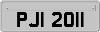 PJI2011
