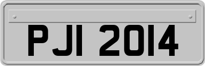 PJI2014