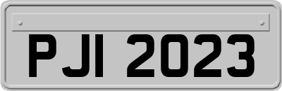 PJI2023