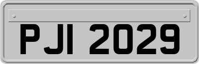PJI2029