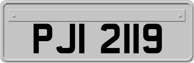 PJI2119