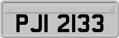 PJI2133