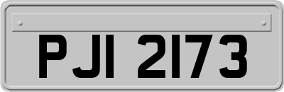 PJI2173