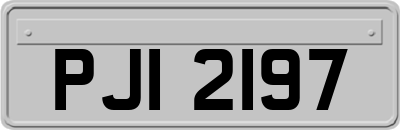 PJI2197