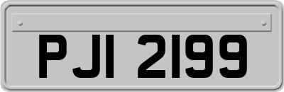 PJI2199