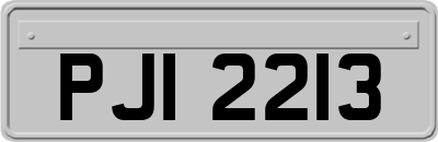 PJI2213