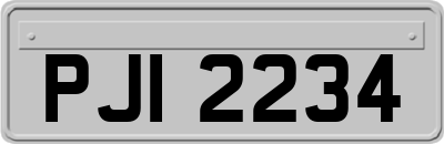 PJI2234