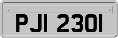 PJI2301