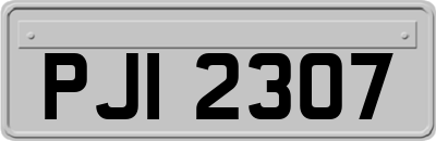 PJI2307