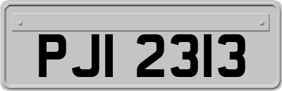 PJI2313