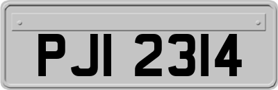 PJI2314