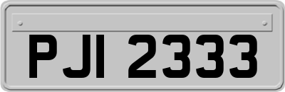 PJI2333