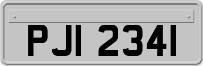 PJI2341