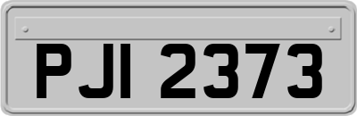 PJI2373