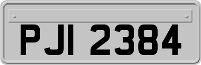 PJI2384
