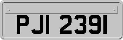 PJI2391