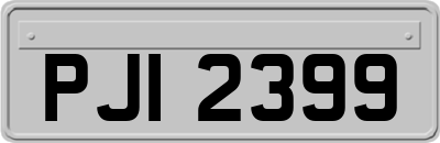 PJI2399