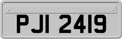 PJI2419