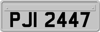 PJI2447