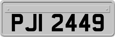 PJI2449