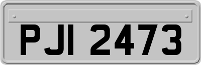 PJI2473