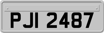 PJI2487